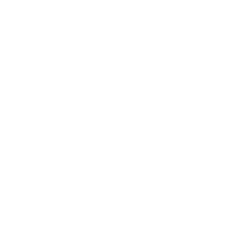 Raptor Teknoloji Logo